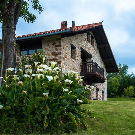 Apartamentos Rurales Larrago Busturia Bagian luar foto